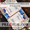 Anaconda Male Enhancement Pills kamagra1